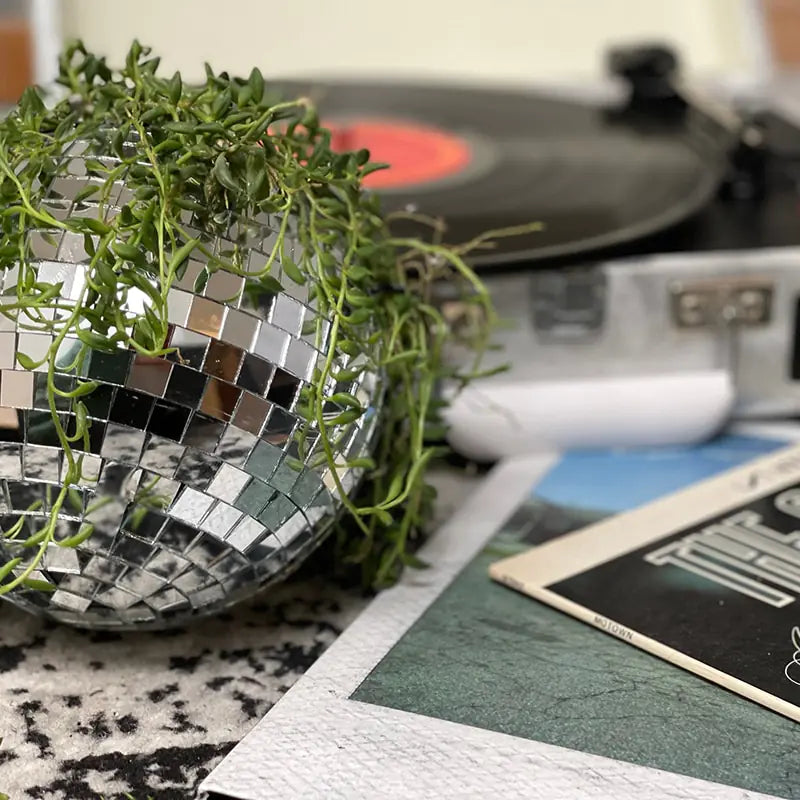 Hanging Disco Ball Planter