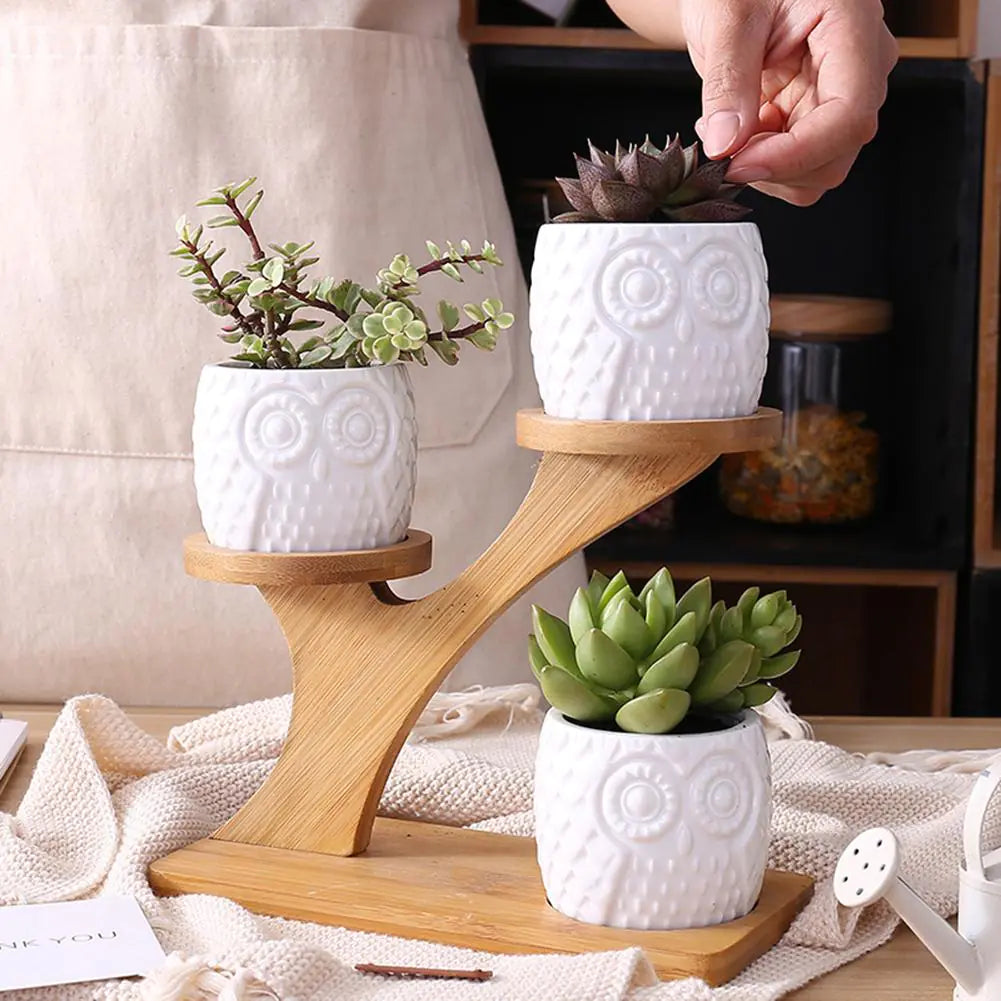 Ceramic Owl Pots with Bamboo Stand