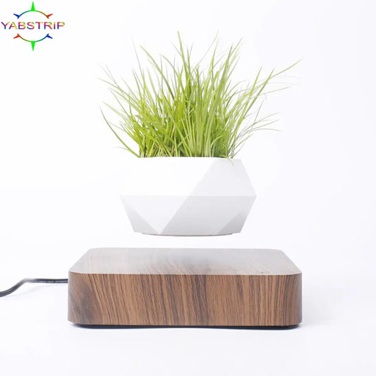 Levitating Plant Pot