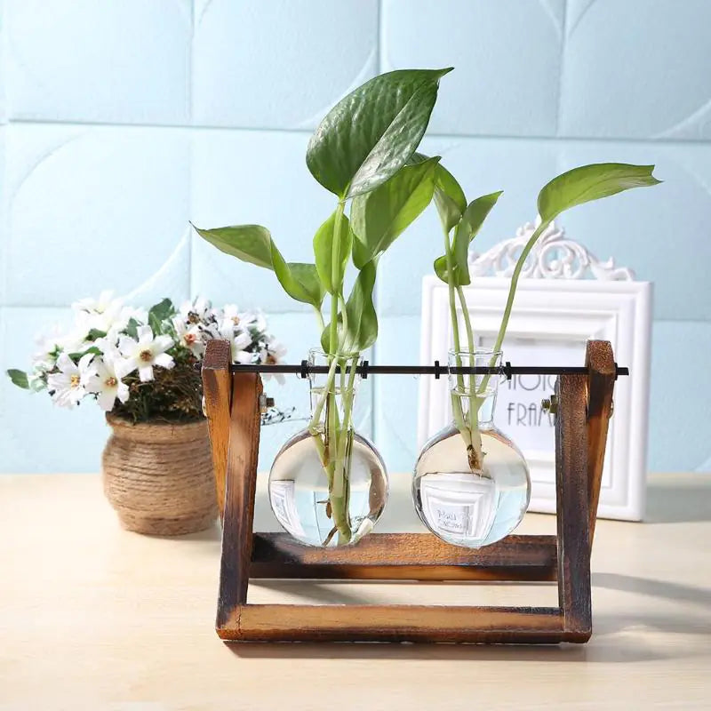 Wood and Glass Propagation Stand