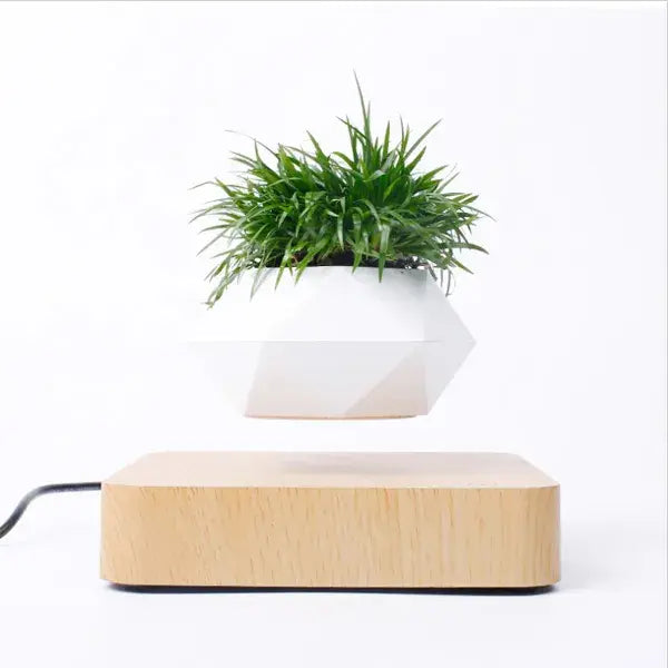 Levitating Plant Pot
