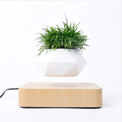 Levitating Plant Pot