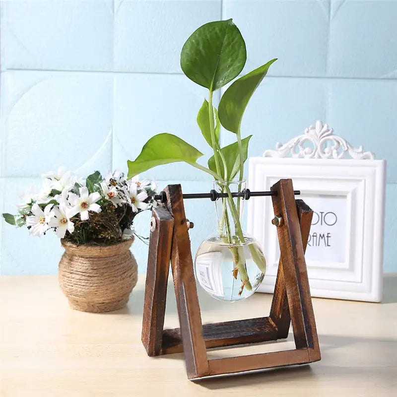 Wood and Glass Propagation Stand