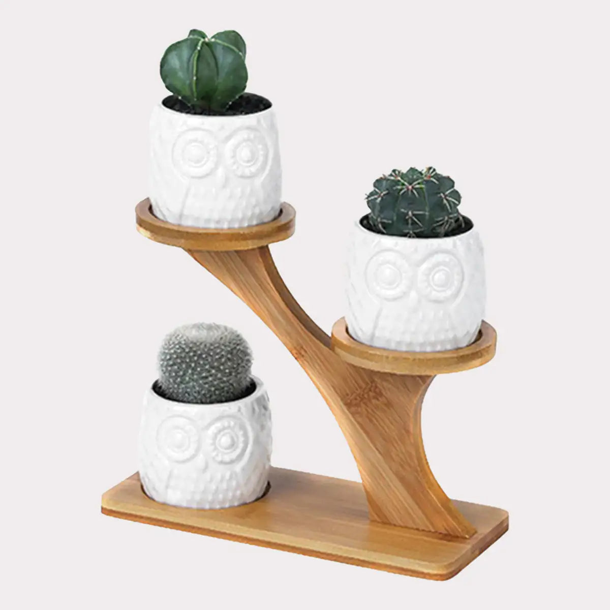 Ceramic Owl Pots with Bamboo Stand