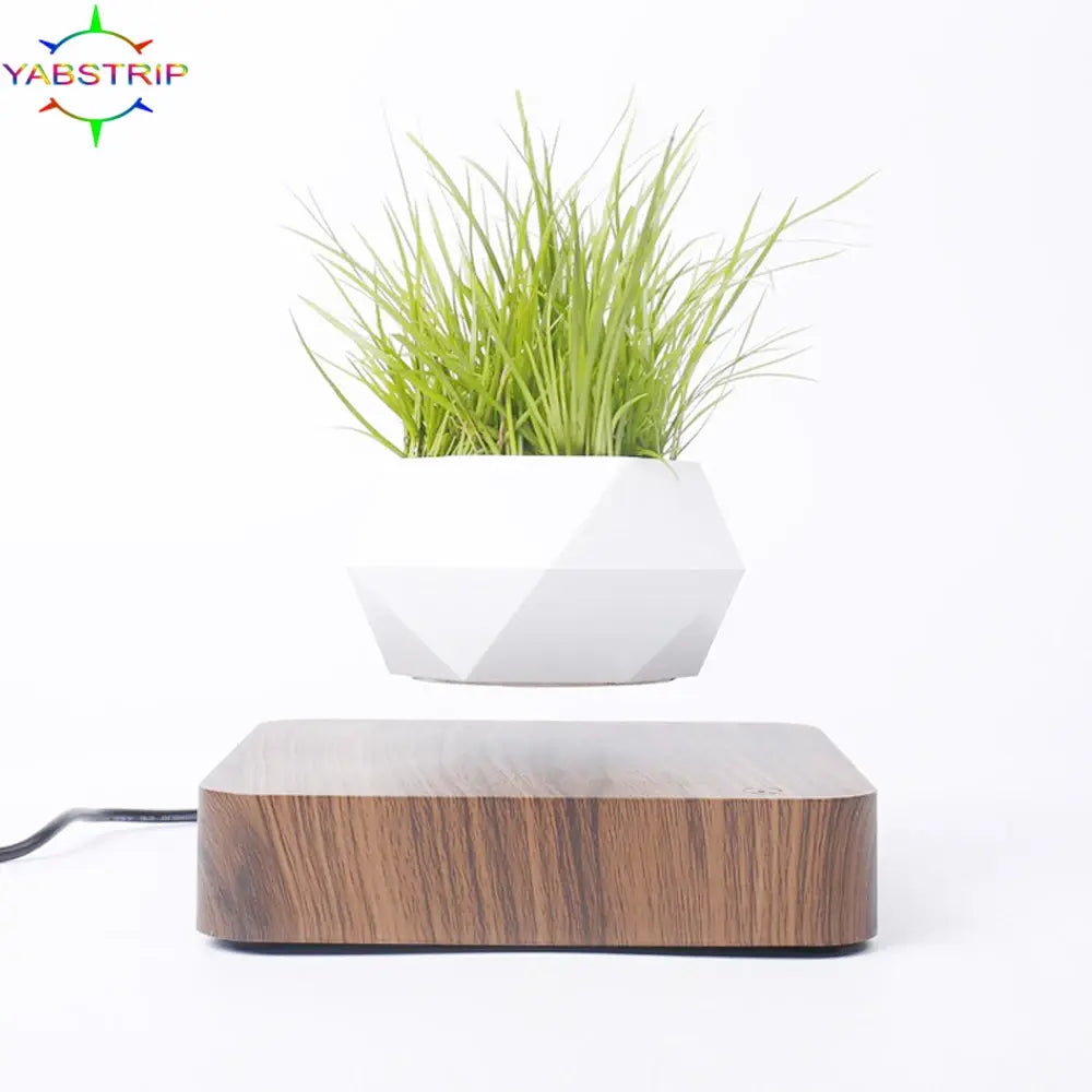 Levitating Plant Pot