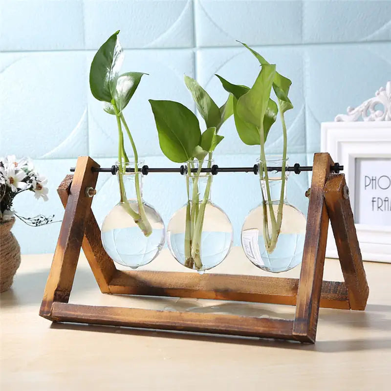 Wood and Glass Propagation Stand
