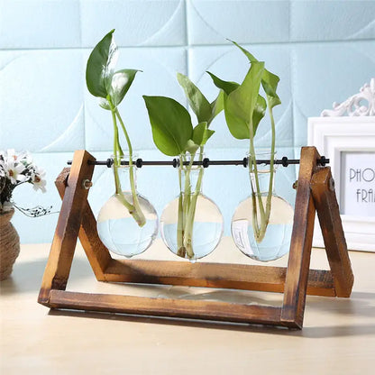 Wood and Glass Propagation Stand